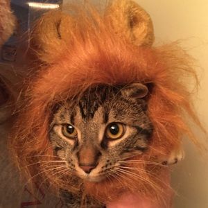 Meet your Posher, Erin